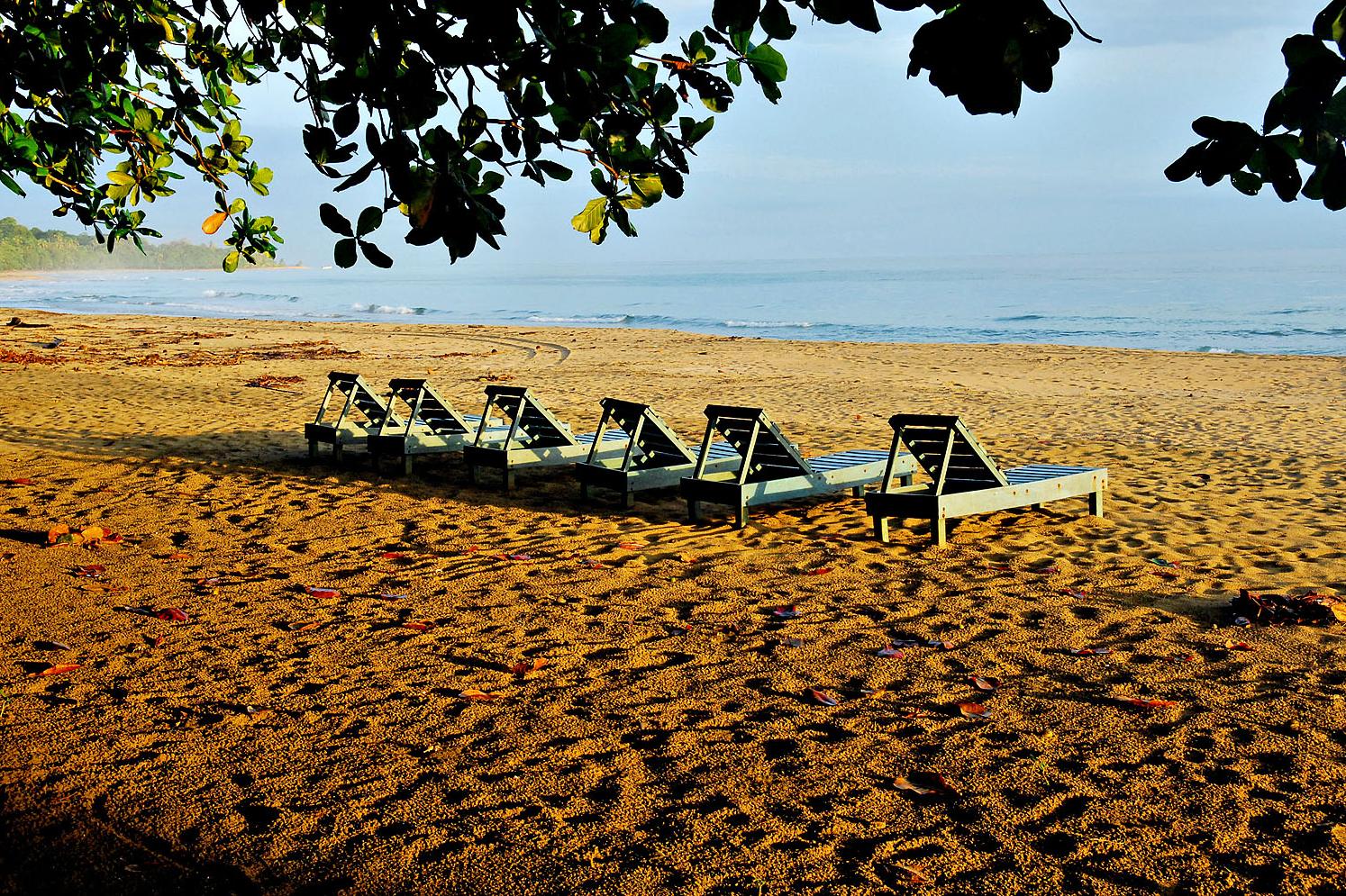 ALMONDS CORALS BEACH