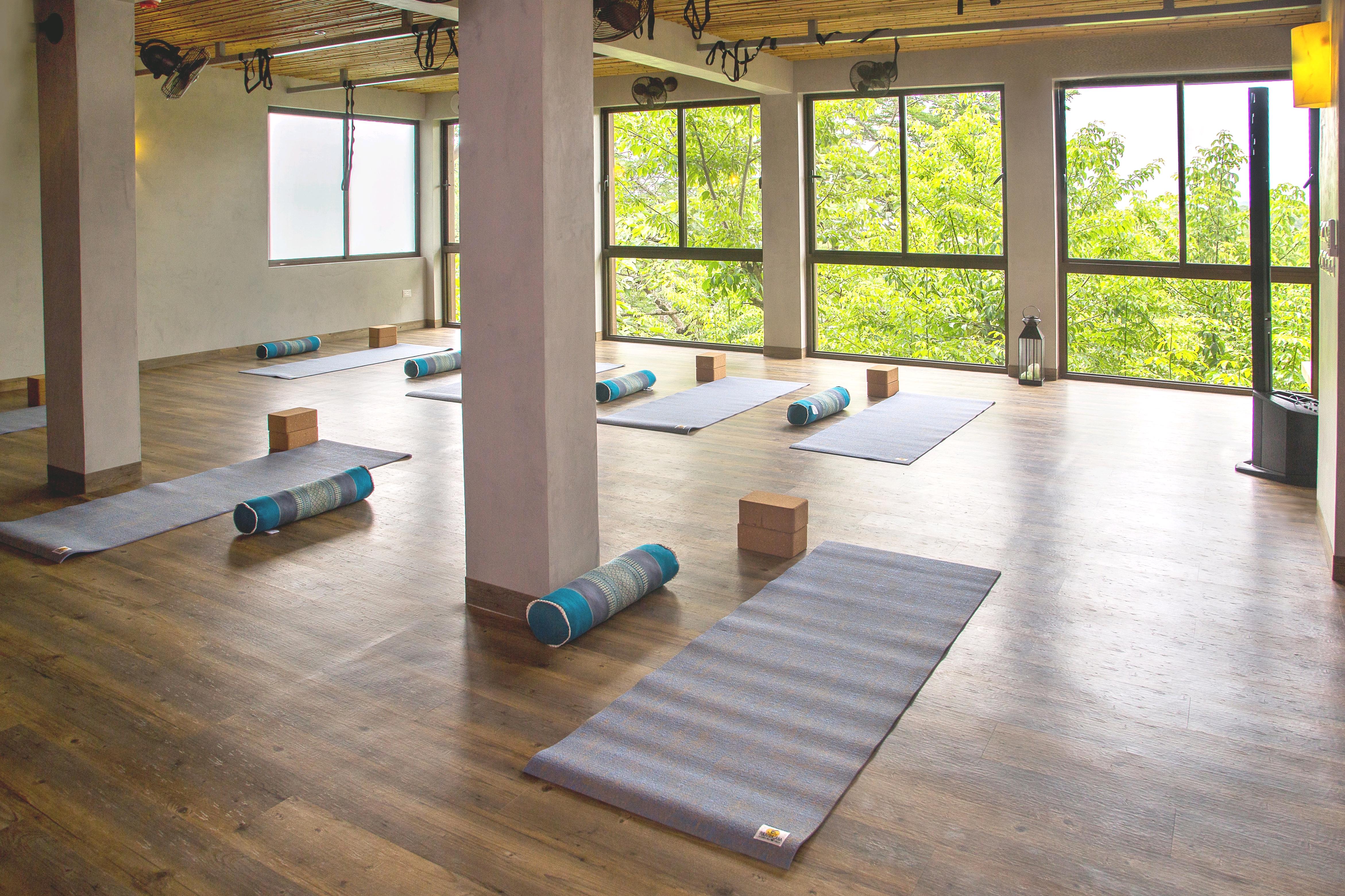LAGARTA YOGARAUM