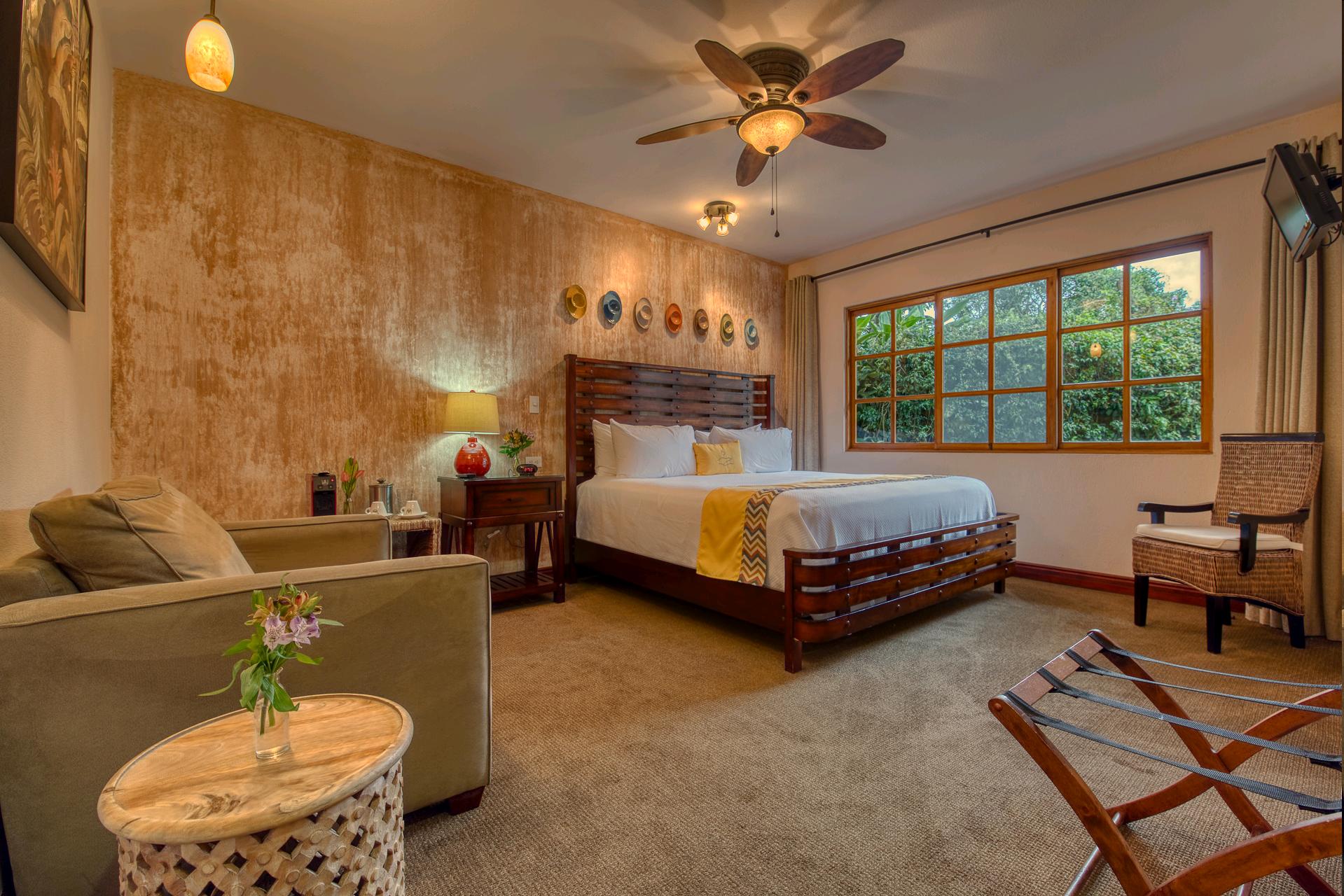 BUENA VISTA ZIMMER1