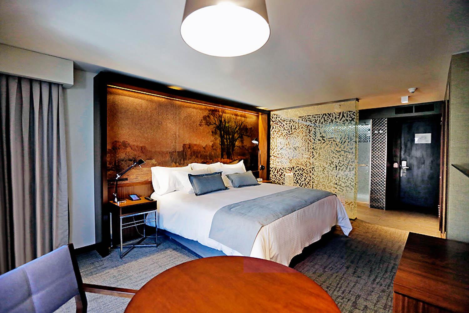 ZIMMER CUMBRES LASTARRIA