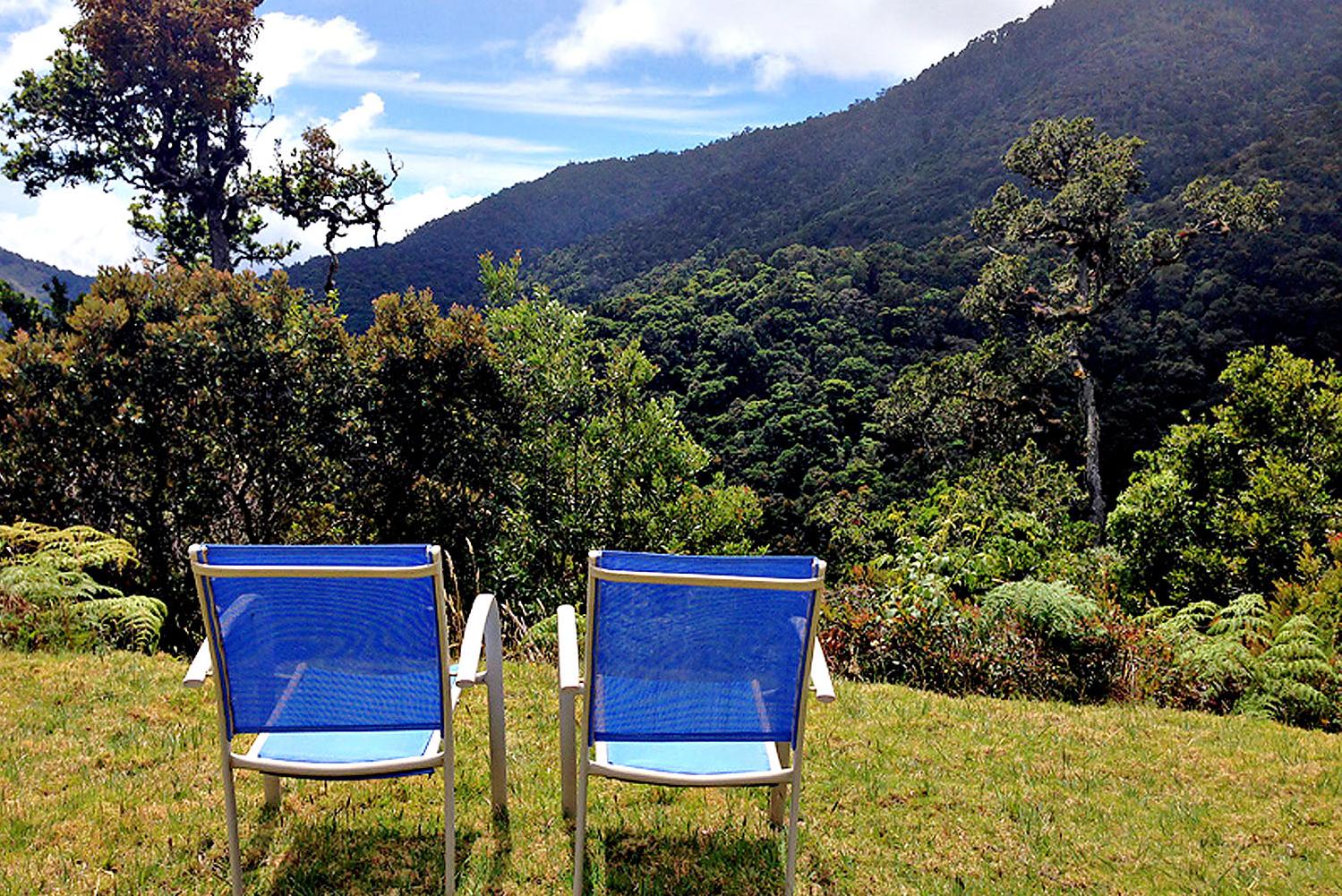 Dantica Lodge Aussicht