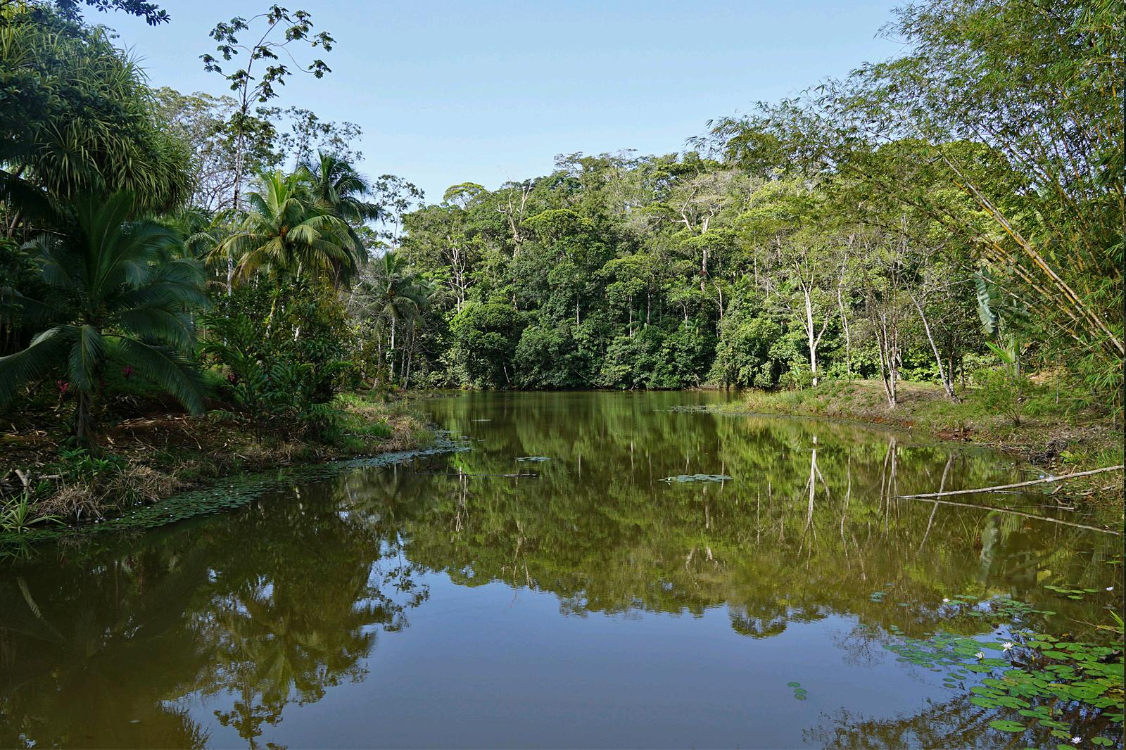 laguna del lagarto