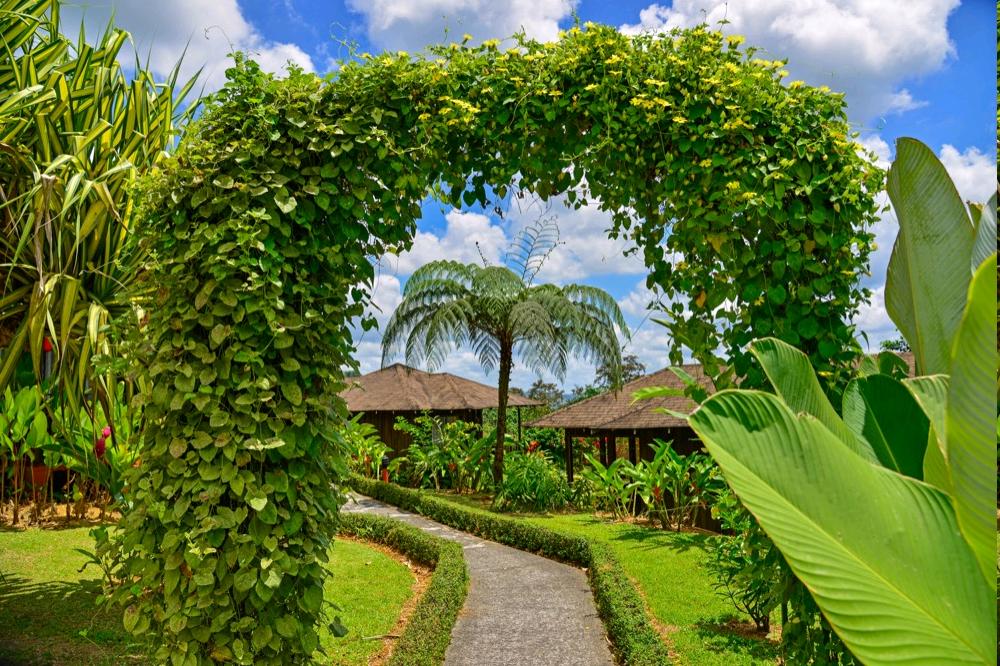 LOMAS DEL VOLCAN GARTEN