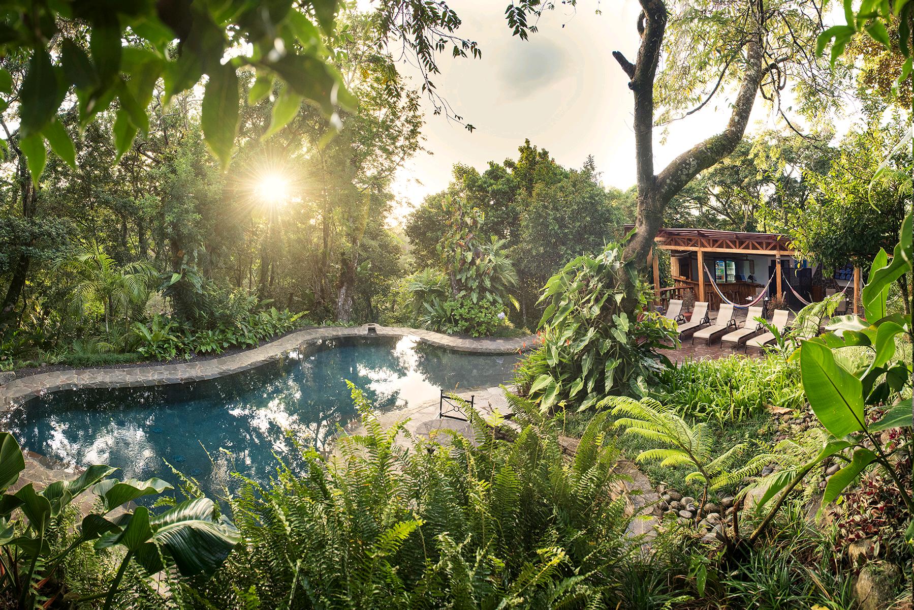 Monteverde Lodge Pool