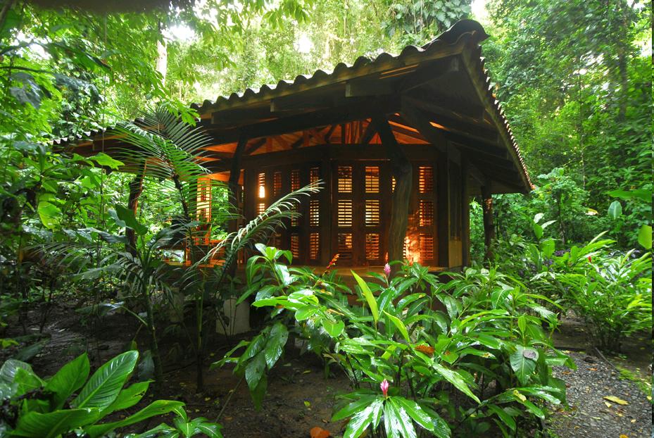 PLAYA NICUESA ZIMMER