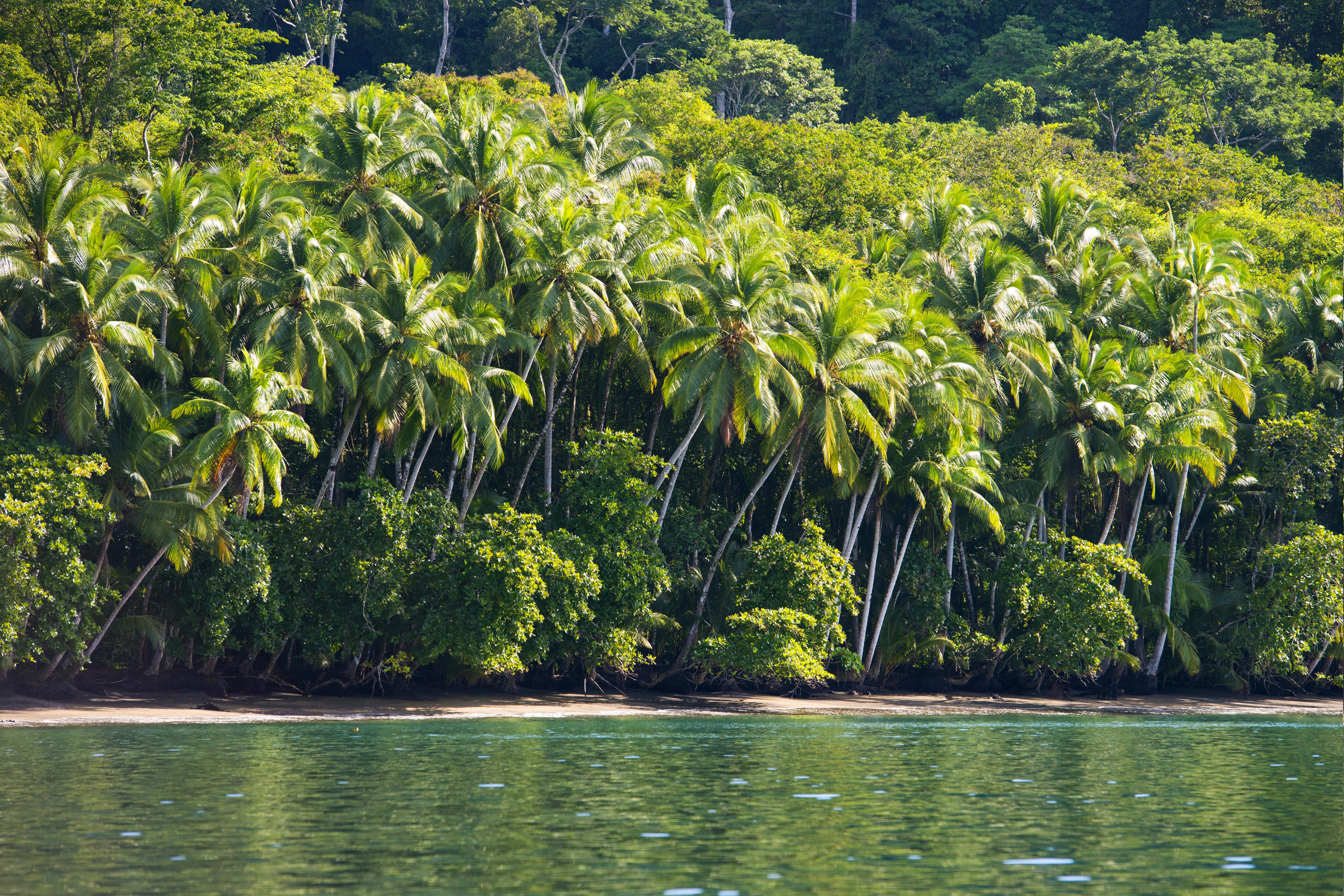 PLAYA NICUESA STRAND