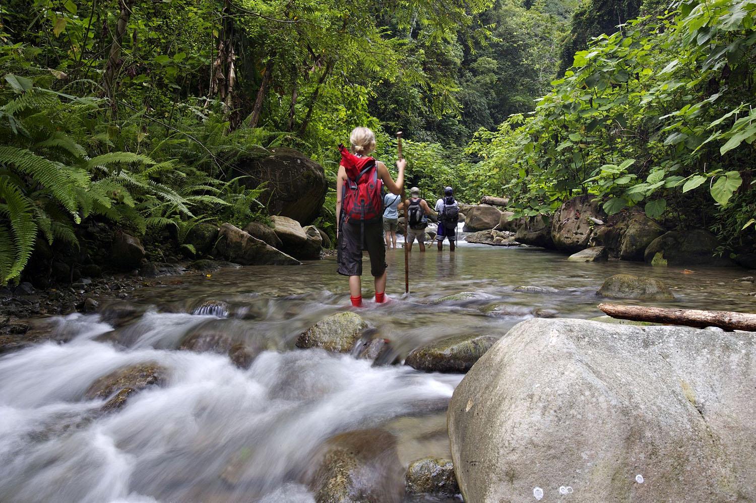 SELVA BANANITO WANDERN