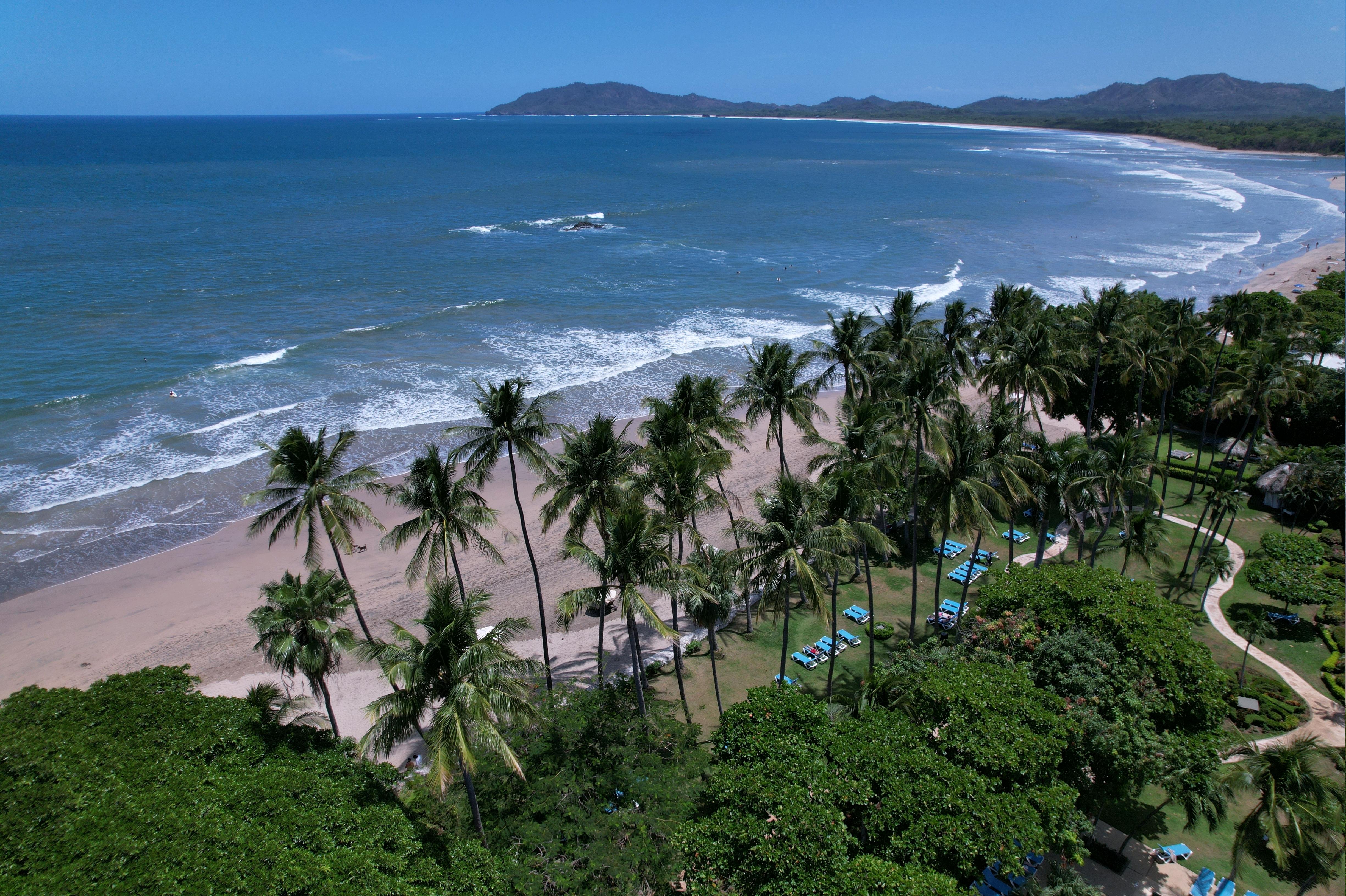 TAMARINDO DIRIA OBEN