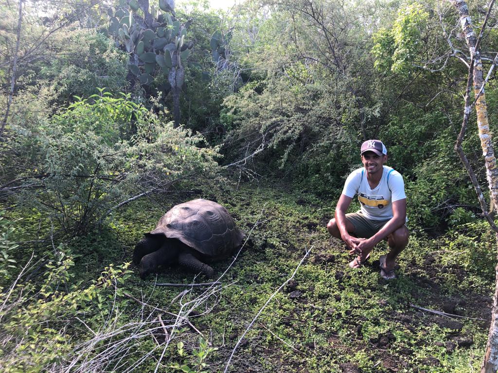 gps-tortuga.jpg