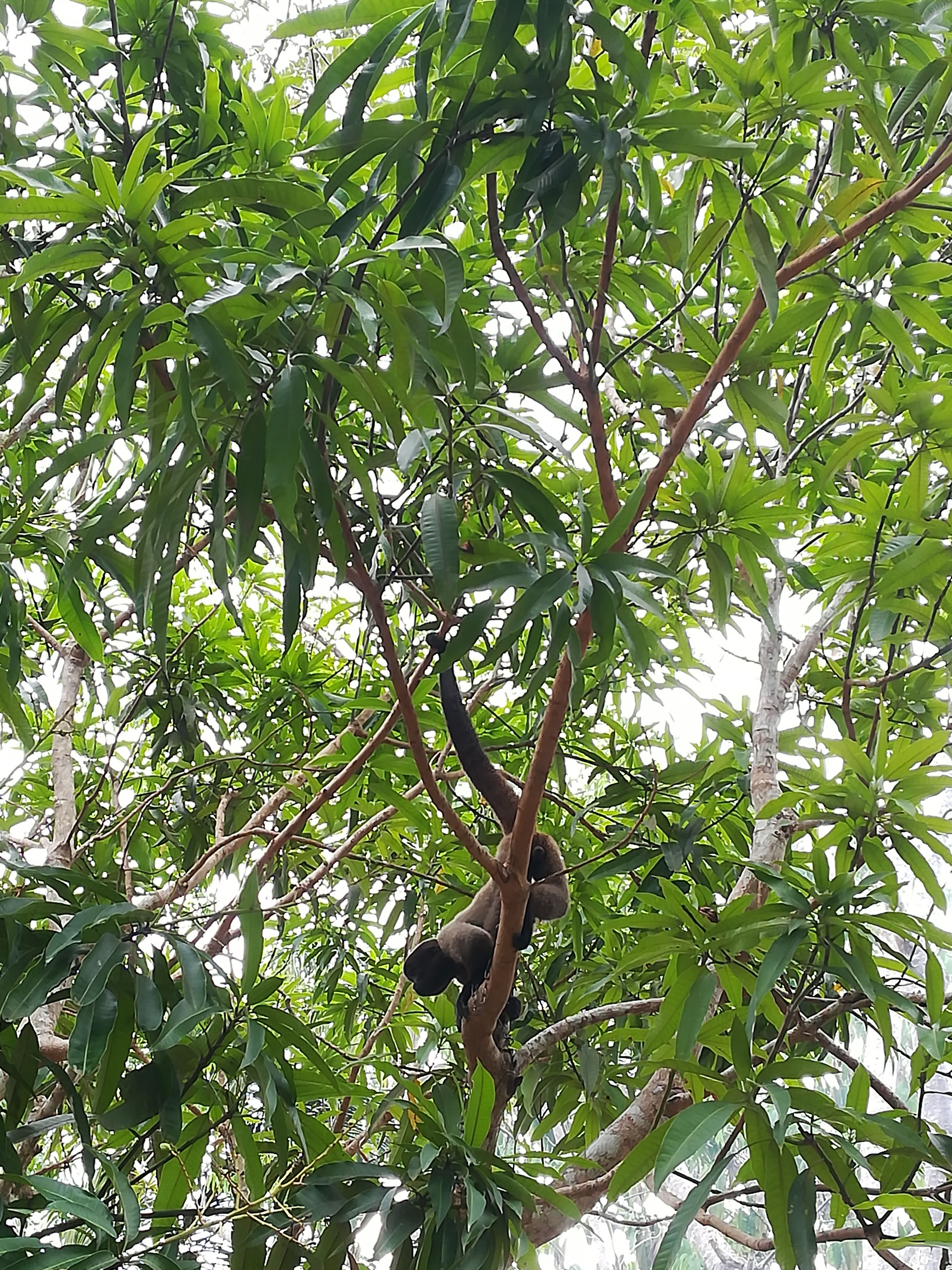 img_20180908_134236.jpg
