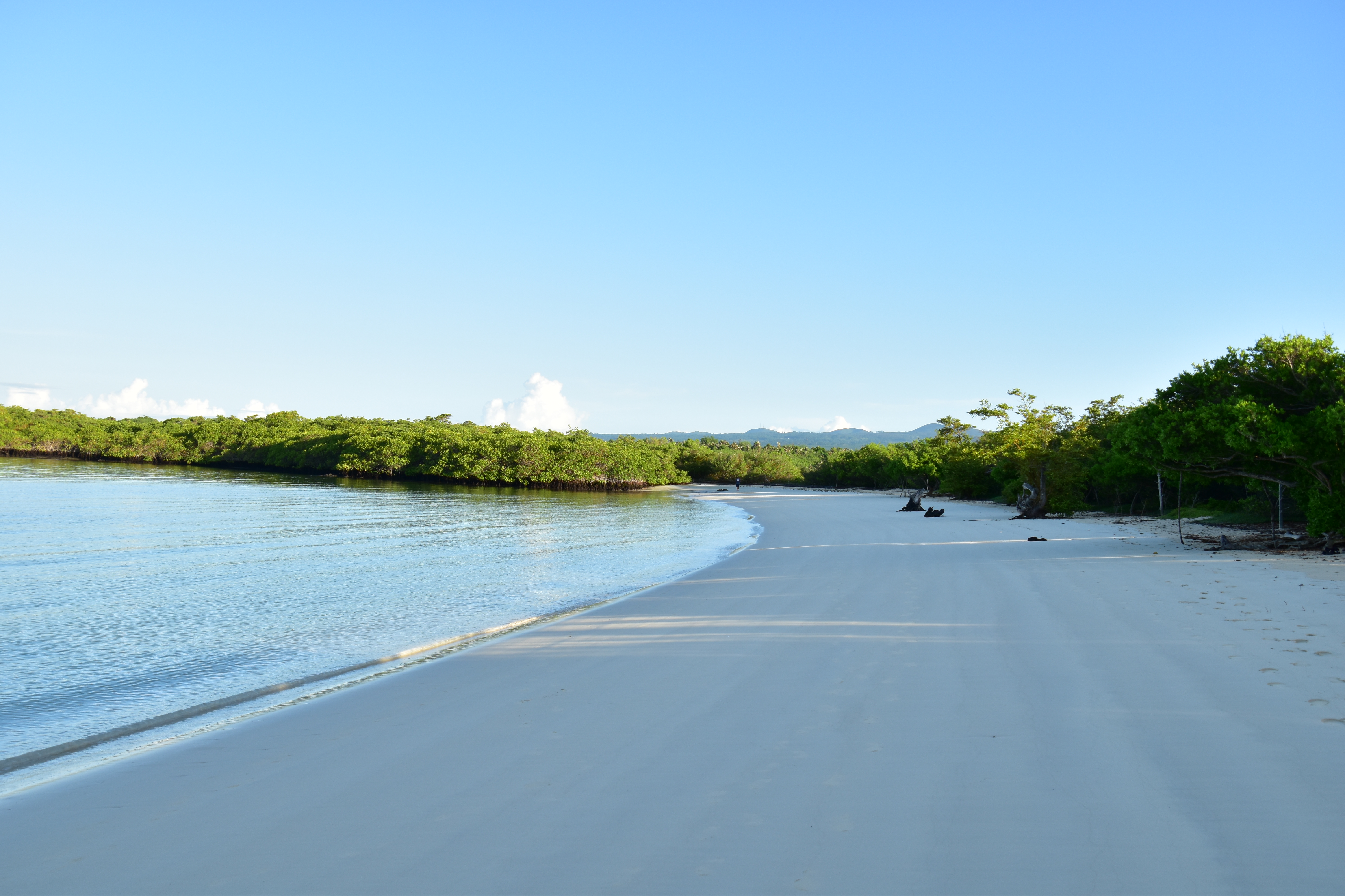 tortuga-bay.jpg