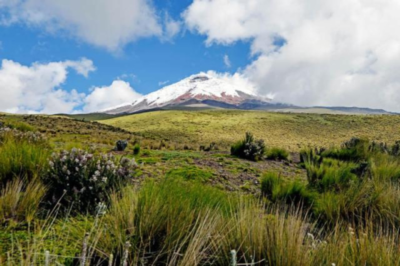 COTOPAXI NP