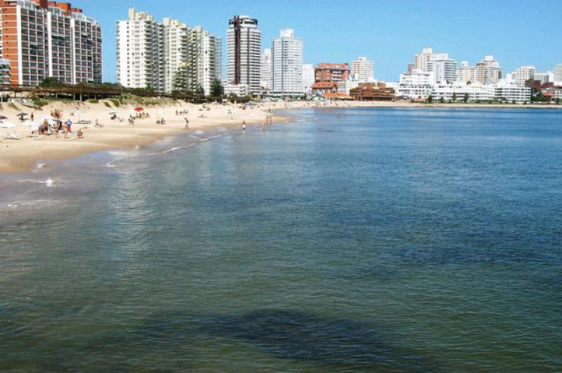 playa mansa punta del este
